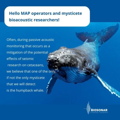 POSSIBLE MISTICE SIGNAL DETECTED and the importance of paying attention to the low frequency spectrogram even outside the humpback season